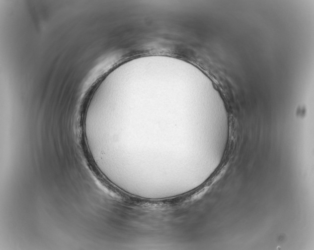 X0000093590245200711121131