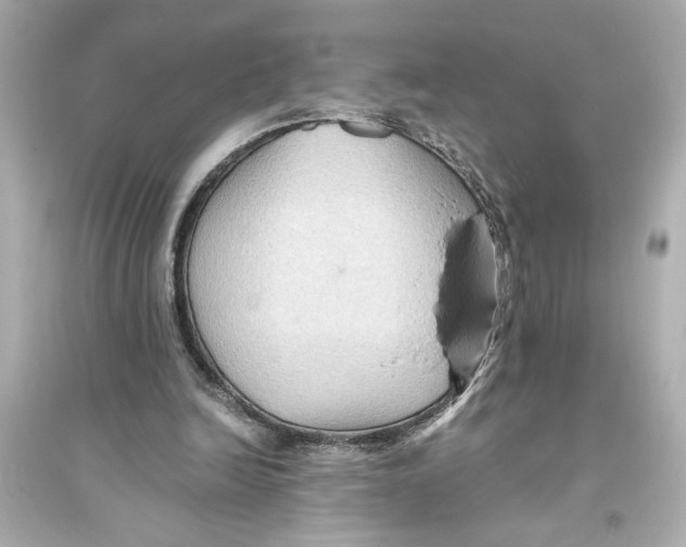 X0000093590246200711121131