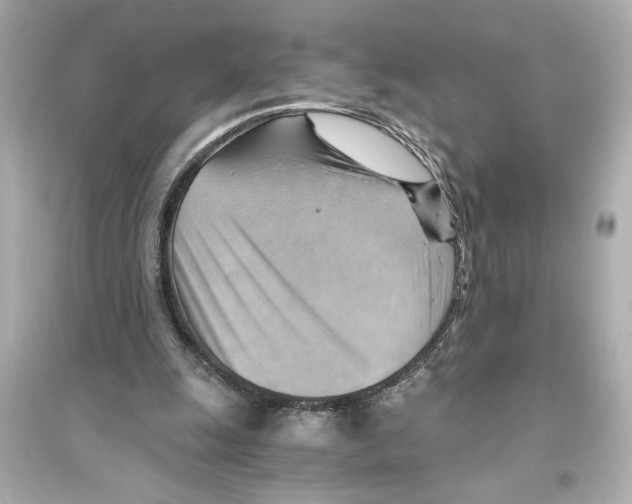 X0000093590247200711121131