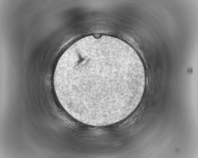 X0000093590249200711121131