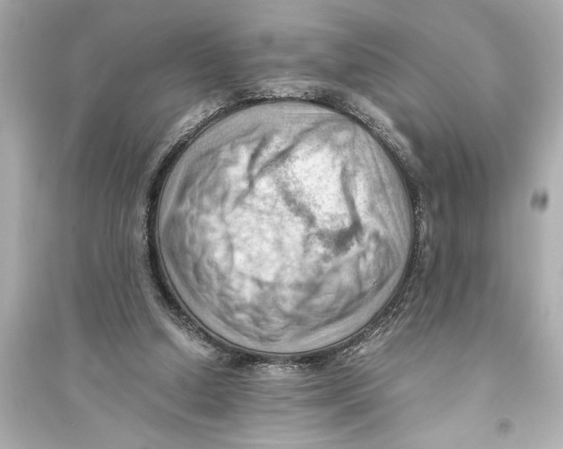 X0000093590250200711121131