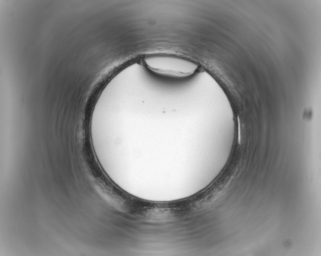 X0000093590252200711121131