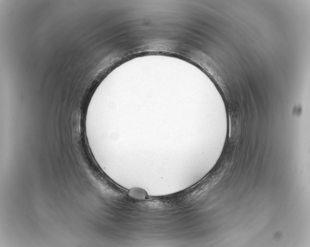 X0000093590253200711121131