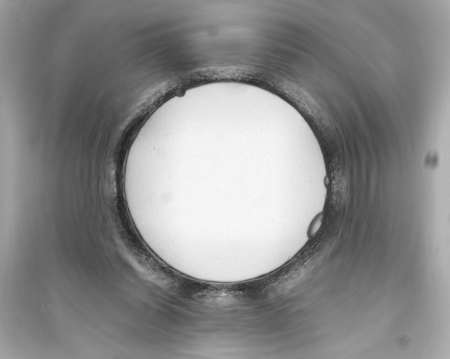 X0000093590254200711121131