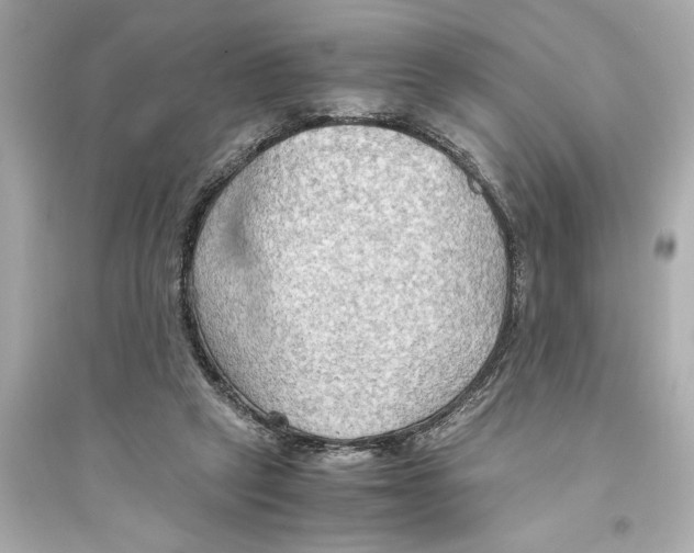 X0000093590257200711121132