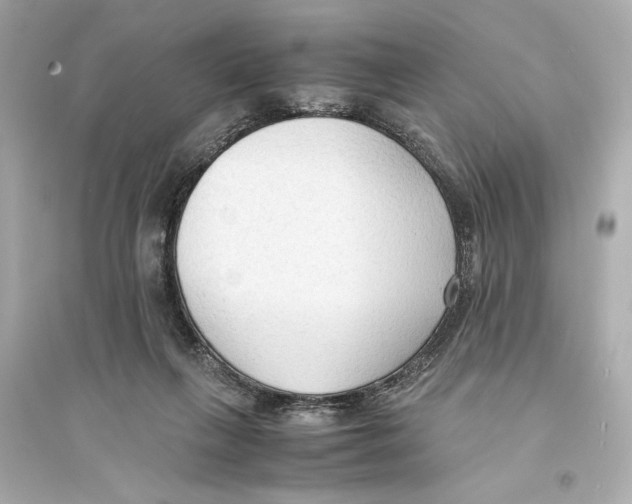 X0000093590263200711121132