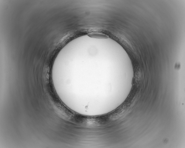 X0000093590264200711121132