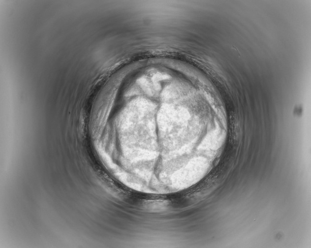 X0000093590266200711121132
