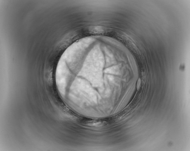 X0000093590267200711121132