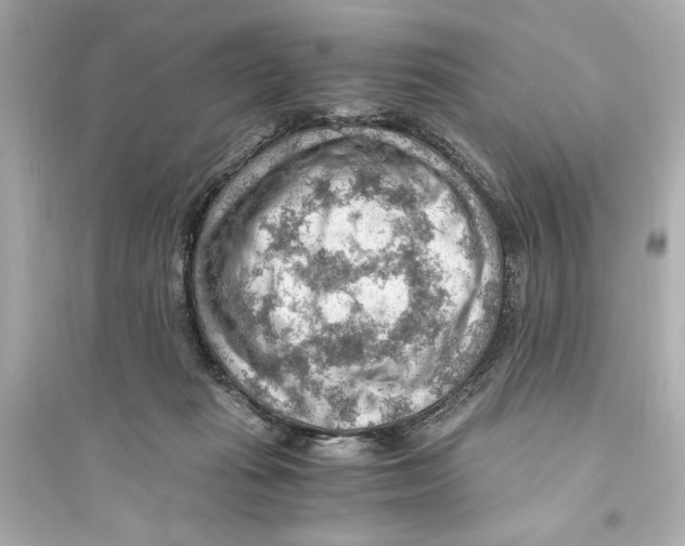 X0000093590269200711121132