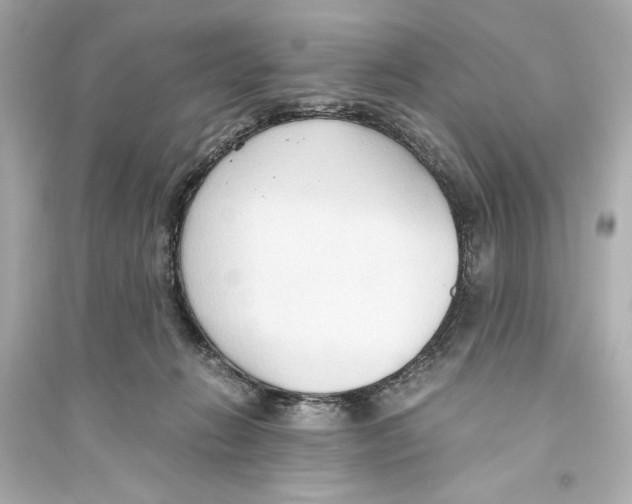 X0000093590270200711121132