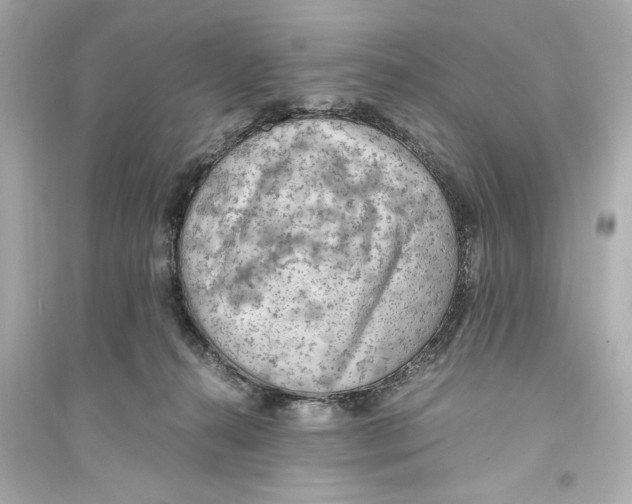X0000093590272200711121132