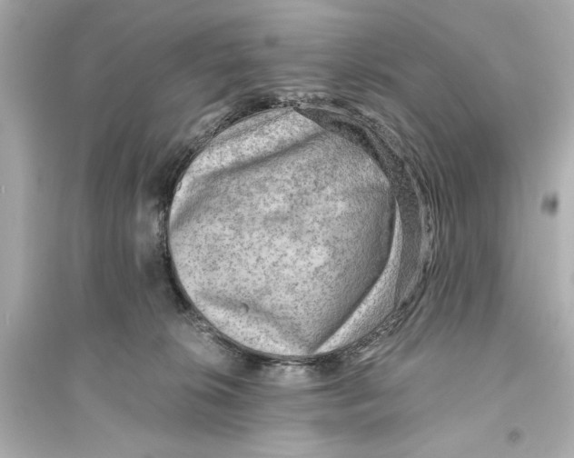 X0000093590276200711121132