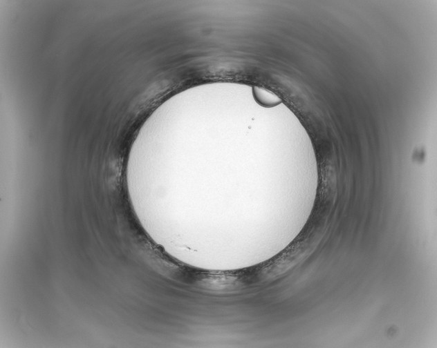 X0000093590278200711121132