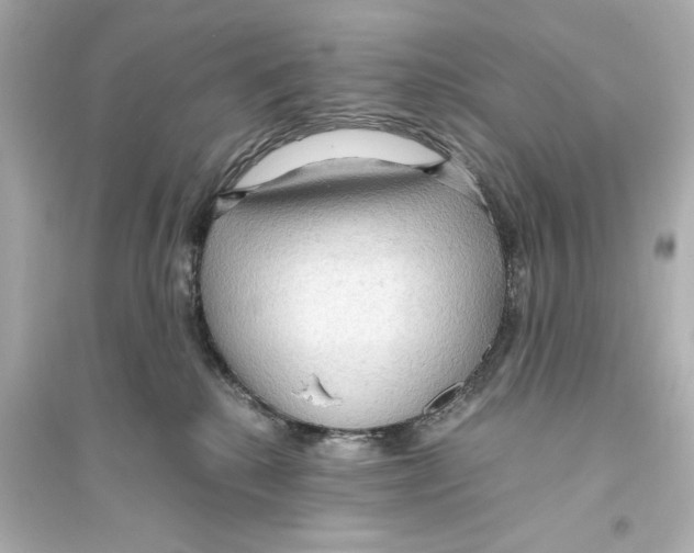 X0000093590280200711121132