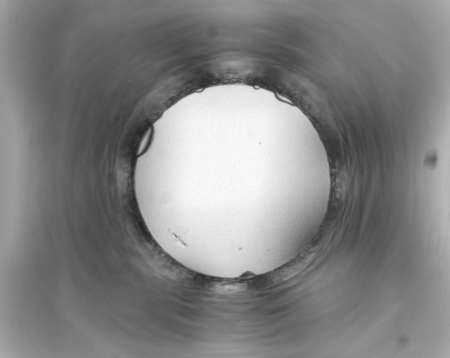X0000093590283200711121132