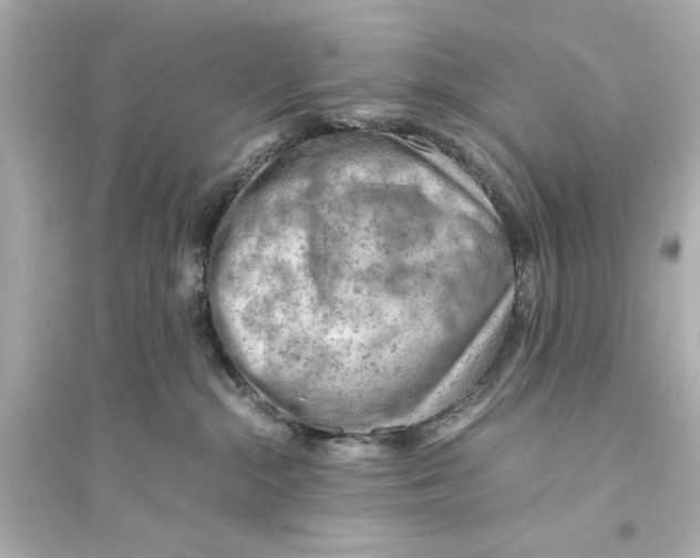 X0000093590284200711121132