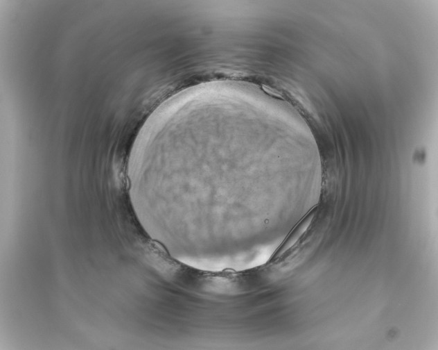 X0000093590285200711121132