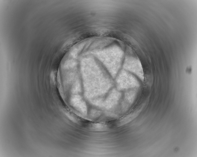 X0000093590286200711121132