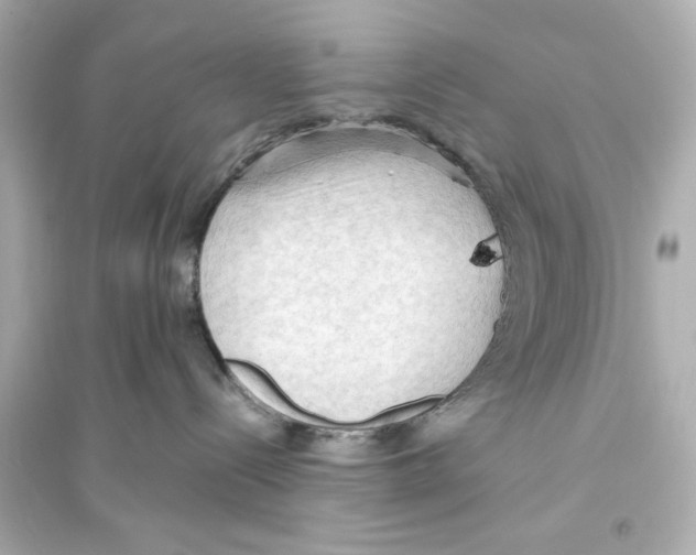 X0000093590288200711121132