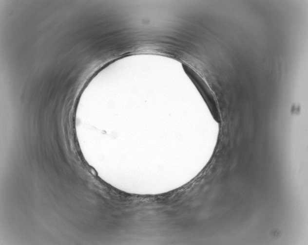 X0000093590289200711121131