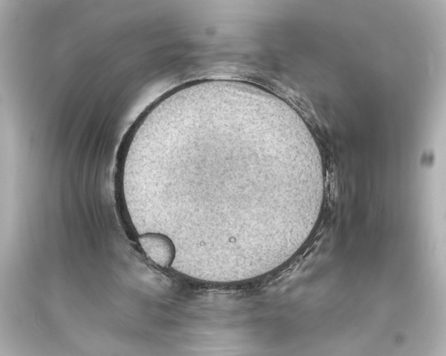 X0000093590292200711121131