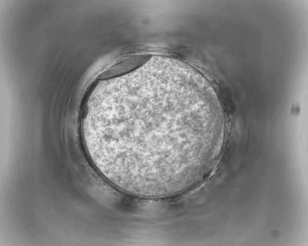 X0000093590293200711121131