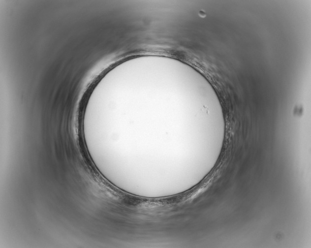 X0000093590294200711121131