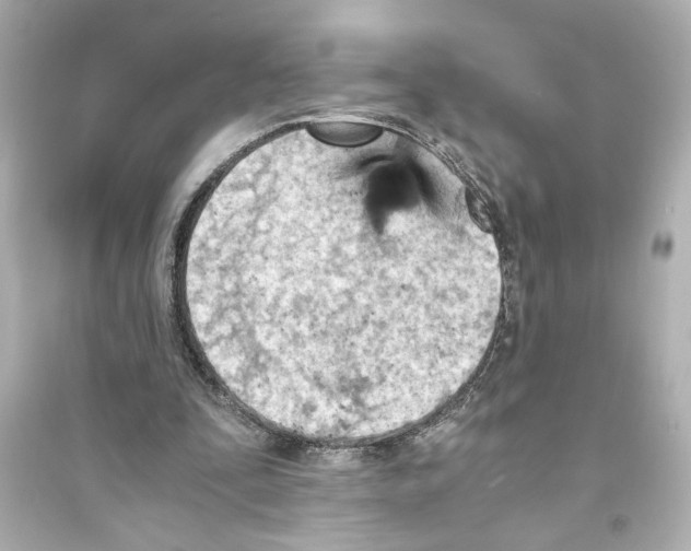 X0000093590295200711121131