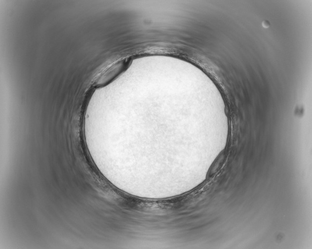X0000093590297200711121131