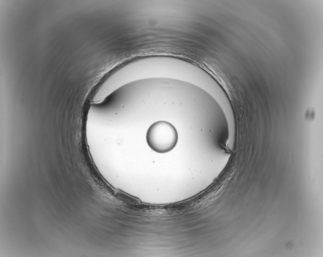 X0000093590301200711121131