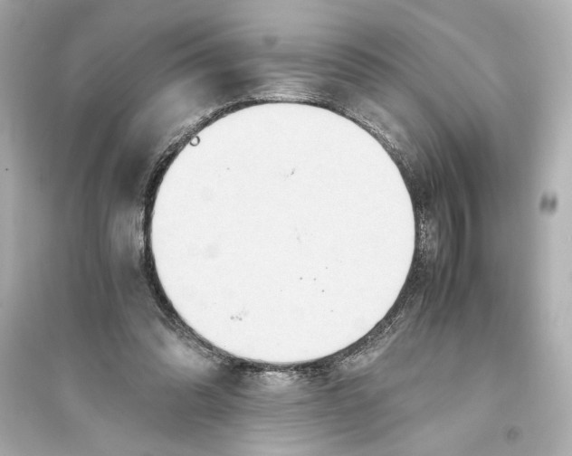 X0000093590302200711121131
