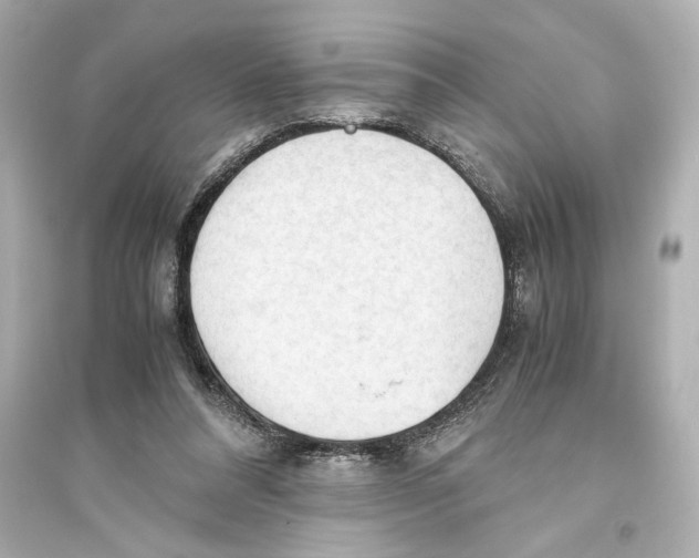 X0000093590304200711121131