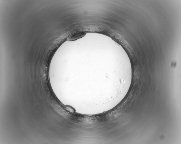 X0000093590305200711121131