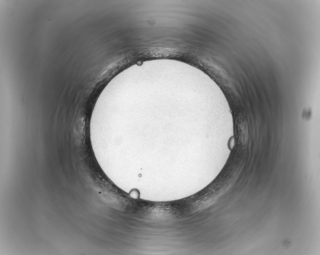 X0000093590308200711121131