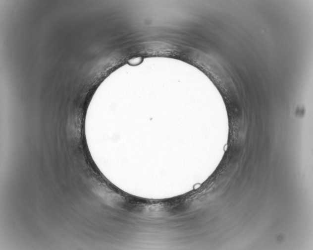 X0000093590309200711121131