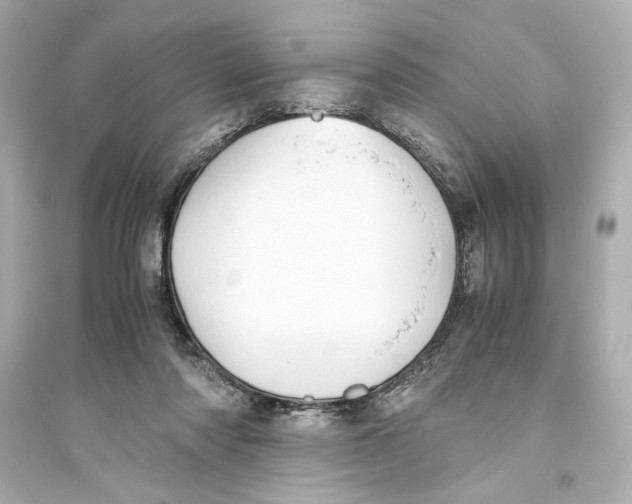 X0000093590310200711121131