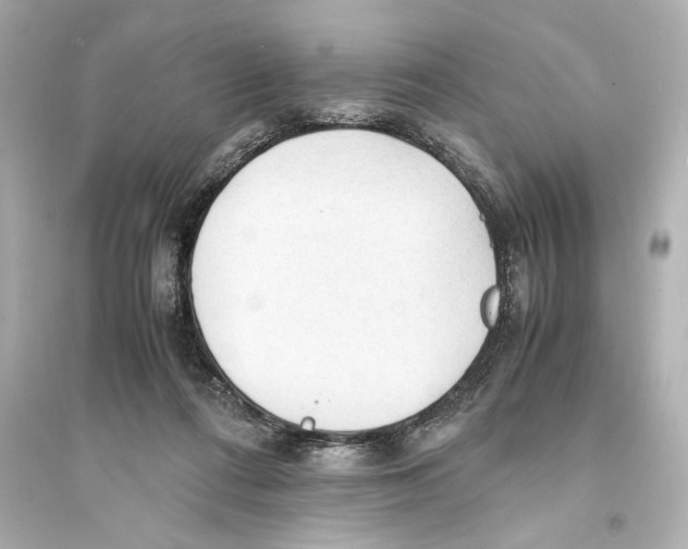 X0000093590312200711121131
