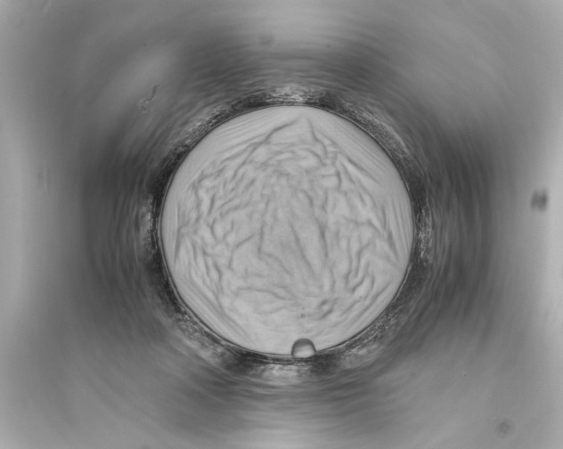X0000093590314200711121131
