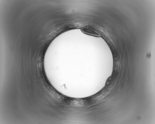X0000093590317200711121131