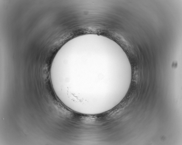 X0000093590318200711121131