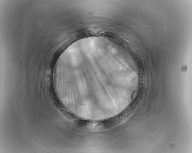 X0000093590319200711121131