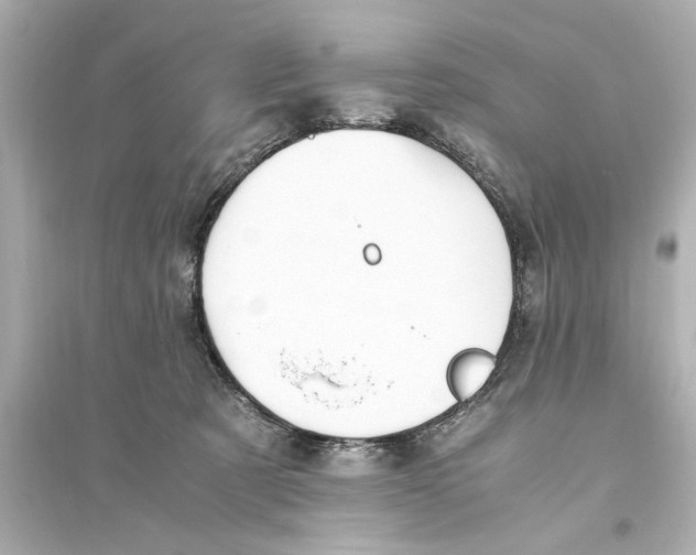 X0000093590321200711121131