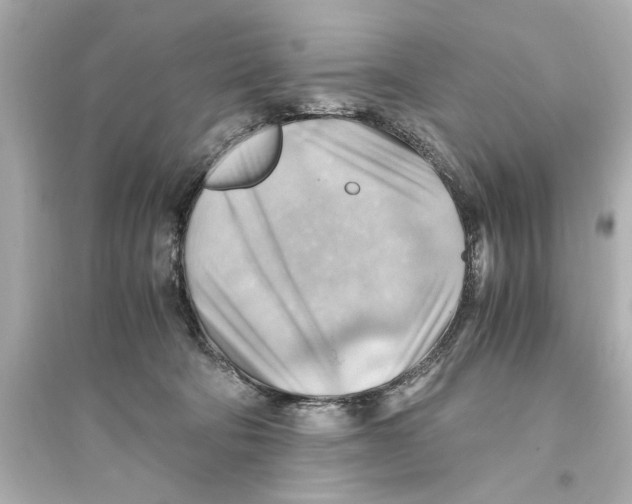 X0000093590322200711121131