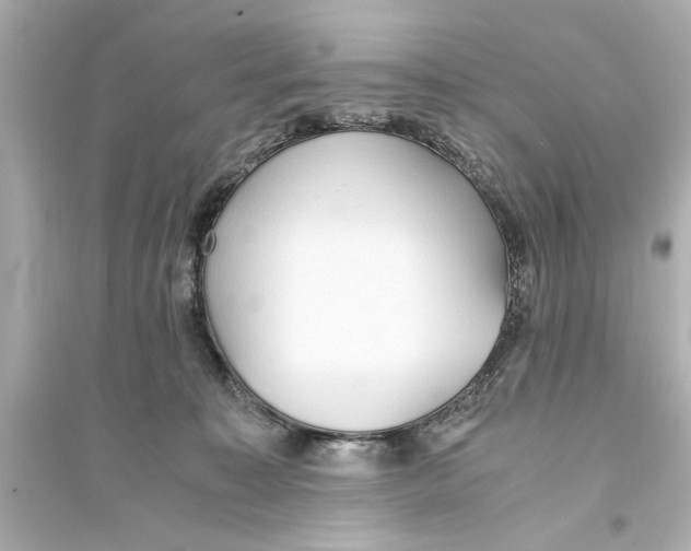 X0000093590323200711121131