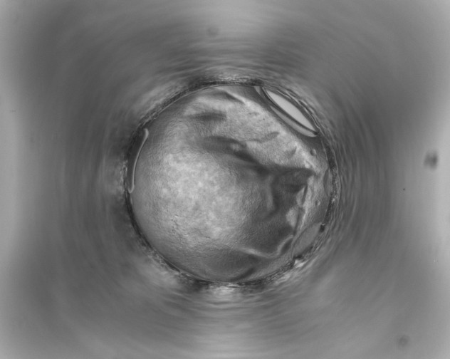 X0000093590325200711121131