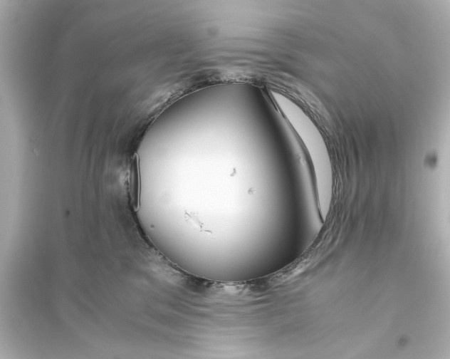 X0000093590329200711121131