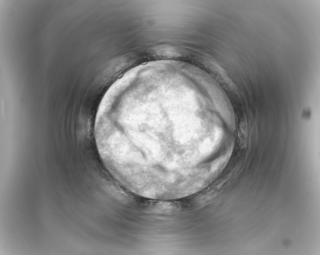 X0000093590330200711121131