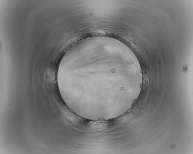 X0000093590331200711121131