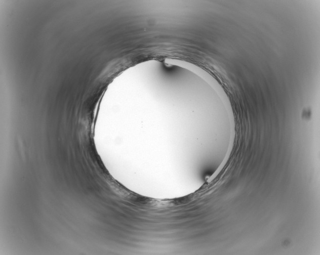 X0000093590333200711121130
